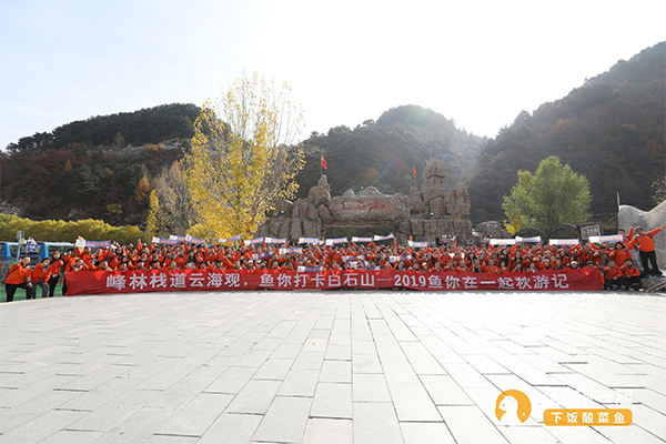 拼命地干，痛快地玩——鱼你在一起2019白石山秋游记